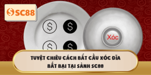 Tuyệt Chiêu Cách Bắt Cầu Xóc Đĩa Bất Bại Tại Sảnh SC88