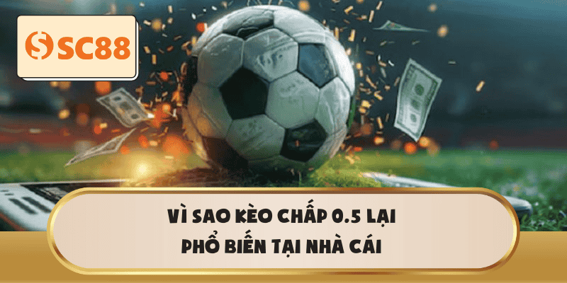Vì sao kèo chấp 0.5 lại phổ biến tại nhà cái